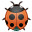 bug Icon